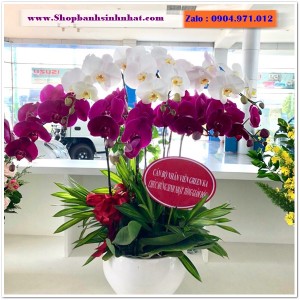 Hoa Tươi Tặng Khai Trương - OK70
